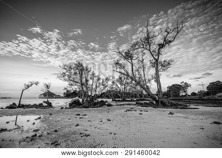 Blackwhite Landscape Photo Of  Batam Bintan Wonderful Indonesia