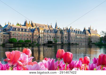 Facade Of Binnenhof - Dutch Parliament With Reflections In Pond, The Hague At Spring With Tulips Flo