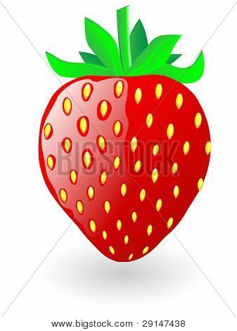 Fresa. Ilustración del vector.
