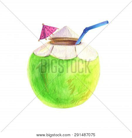 Watercolor Tropical Green Cocount, Cocktail Exotic. Hand Drawn Illustrations For Text, Jungle Exotic
