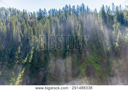 Water Vapour Illuminated By Early Morning Sunlight, As Passing Trough The Trees. Lower Canyon Of The