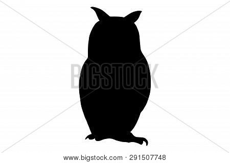 Owl Bird, Vector Black Color Silhouette Illustration For Icon, Logo, Poster, Banner. Abstract Wild A