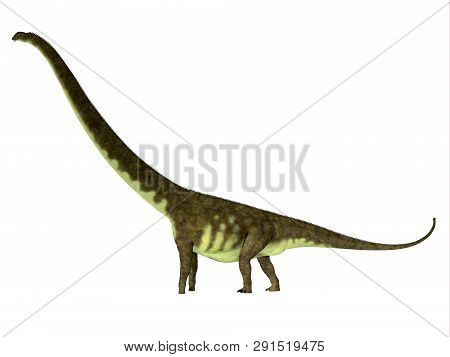 Mamenchisaurus Hochuanensis Dinosaur Side Profile 3d Illustration - Mamenchisaurus Hochuanensis Was 