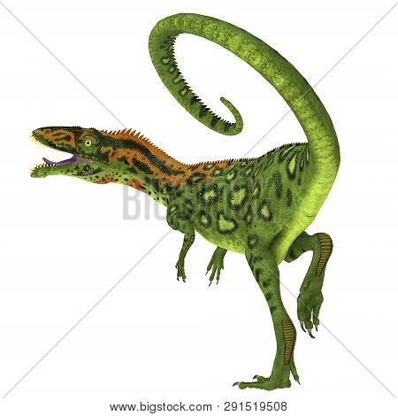 Masiakasaurus Dinosaur Tail 3d Illustration - Masiakasaurus Was A Carnivorous Theropod Dinosaur That