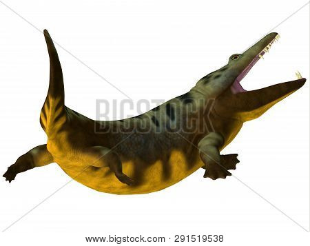 Mastodonsaurus Amphibian Tail 3d Illustration - Mastodonsaurus Was An Aquatic Carnivorous Amphibian 