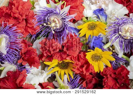 Various Colourful Flowers - Atistic Flower Image.