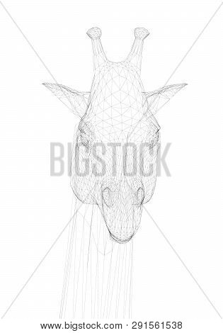 Polygonal Giraffe Head. Front View. Head Of A Giraffe From Black Lines On A White Background. Vector
