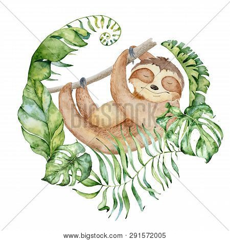 Sloth Bear Watercolor Hand Drawn Illustration With Tropical Leaves