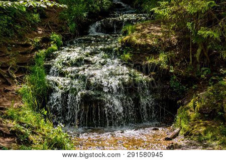 Beautiful Forest Stream, Small Waterfall. Forest Stream 