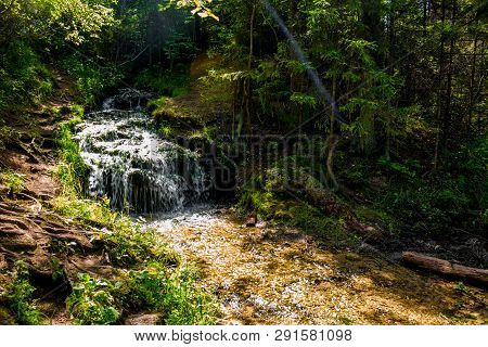 Beautiful Forest Stream, Small Waterfall. Forest Stream 