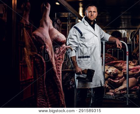 The Butcher In A White Work Shirt Holding Ax While Standing In A Refrigerated Warehouse In The Midst