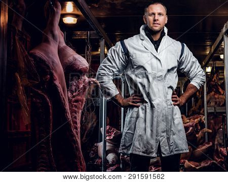 The Butcher In Workwear Posing In A Refrigerated Warehouse In The Midst Of Meat Carcasses