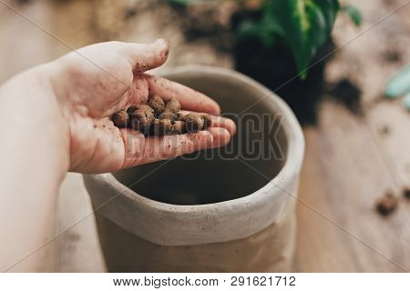 Dirty Hand Holding Drainage  At Empty New Pot And Gardening Stylish Tools, Ground, Green Plant  On W