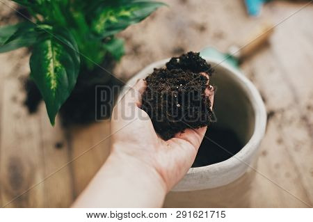 Repotting Plant Concept. Dirty Hand Holding New Soil At Empty New Pot And Gardening Stylish Tools, G