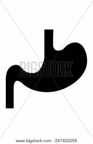 This Vector Image Shows A Stomach In Glyph Icon Design. It Is Isolated On A White Background.