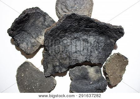 Ancient Molded Ceramics Of Zarubintsy Culture Of The Early Iron Age With Archaeological Excavations