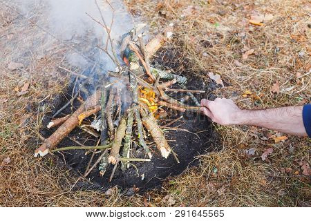Bonfire In The Spring Forest On The Background Of Withered Grass. In The Frame Of The Hand Of A Man.