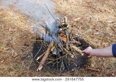 Bonfire In The Spring Forest On The Background Of Withered Grass. In The Frame Of The Hand Of A Man.