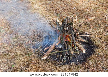 Bonfire In The Spring Forest On The Background Of Withered Grass.