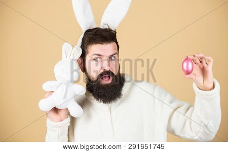 Man Wearing Rabbit Suit. Funny Bunny Man Soft Ears. Easter Activities Concept. Weirdo Concept. Celeb