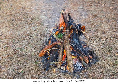 Bonfire In The Spring Forest On The Background Of Withered Grass.
