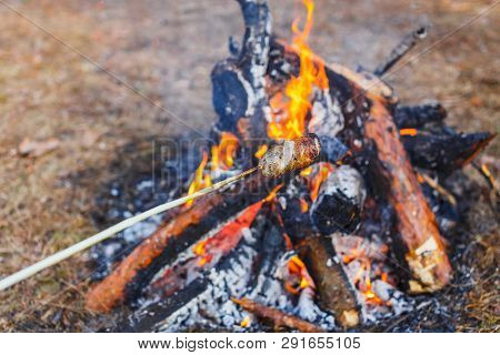 A Man Fries Sausages Against The Grass On A Campfire In The Spring Forest. In The Frame Of One Hand.