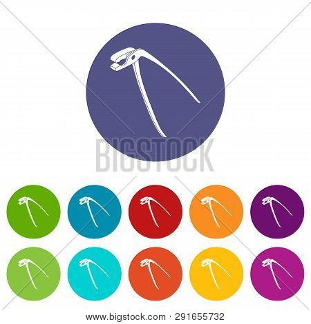 Medical Pliers Icons Color Set For Any Web Design On White Background