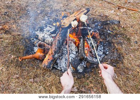 At The Stake In The Spring Forest, A Clay Turkish Coffee Pot Is Heated Against The Grass. In The Fra