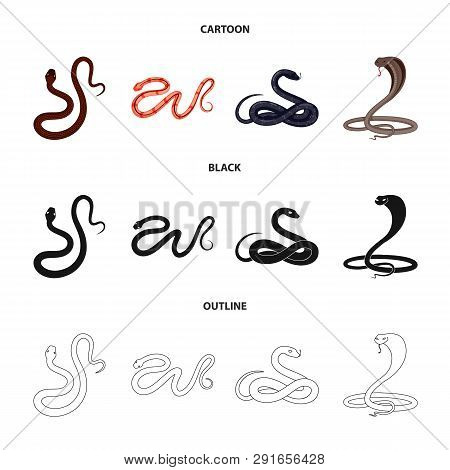 Vector Design Of Mammal And Danger Symbol. Set Of Mammal And Medicine Stock Vector Illustration.