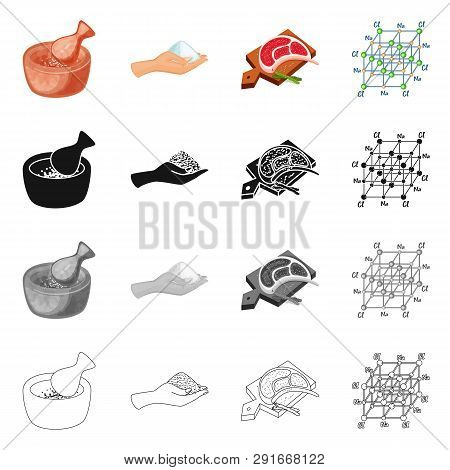 Vector Design Of Cooking And Sea Icon. Set Of Cooking And Baking   Vector Icon For Stock.