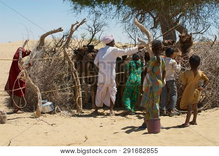 Jamba, India - April 02, 2007: Unidentified People Keep Young Camels In The Coral In That Desert In 