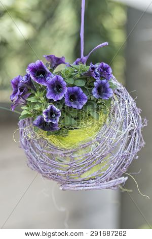 Hanging Bellflower For Home Decor