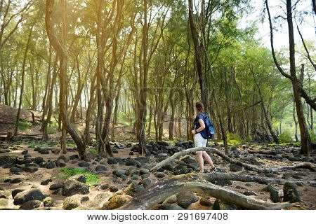 Female Tourist Enjoying Stunning View Of Densy Pine Forest Of Pololu Valley On Big Island Of Hawaii,