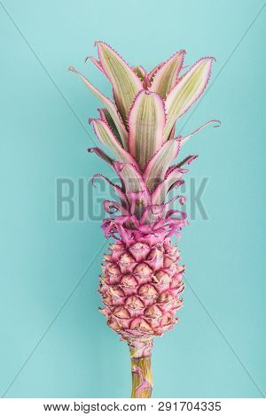 Pineapple On A Blue Background.pink Pineapple.abstract Floral Background With Flowers.
