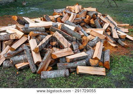 Preparation Of Firewood For The Winter. Firewood Background, Stacks Of Firewood In The Forest.