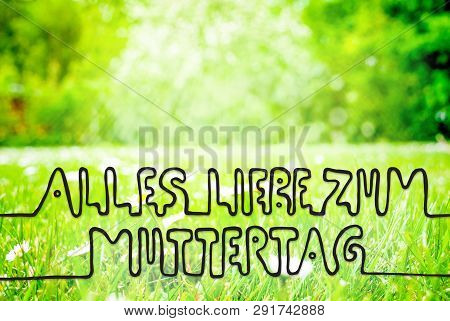 Spring Meadow, Daisy, Calligraphy Muttertag Means Happy Mothers Day