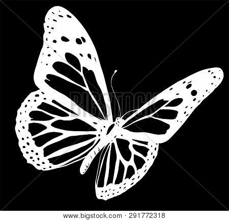 Illustration Of A Beautiful Colorful Butterfly That Flies