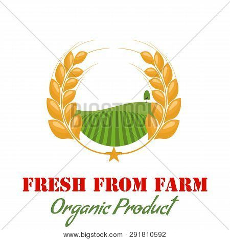 Wheat And Farm With Circle Laruel Style. For Organic Gluten Free Logo Or Symbol. Flat Style Vector I