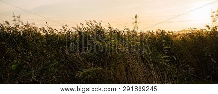 Durgerdam Sunrise Early In The Morning, Autumn, Tree, Dirt Road
2018, Durgerdam The Netherlands