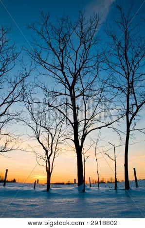 Winter Sunset