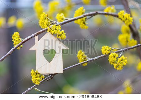 Closeup Wooden House With Hole In Form Of Heart Surrounded By Yellow Flowering Branches Of Spring Tr
