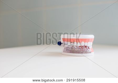 Dental Hygienist Checkup Concept.dental Tooth Dentistry Student Learning Teaching Model Showing Teet