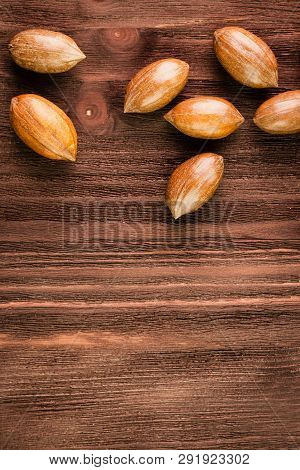 Pecan Nuts In The Shell On Wooden Background