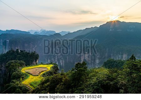 Spectacular Rice Terrace Panorama At Sunset In Front Of Laowuchang Village, In Yuanjiajie Area Of Wu