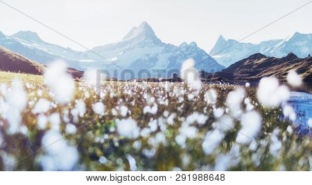 Picturesque sunrise on the top of Grossglockner pass, Swiss Alps mountains. Landscape photography