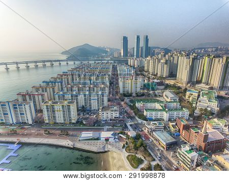 Cherry Blossoms Blooming In Namcheondong , Suyeonggu, Busan, South Korea, Asia