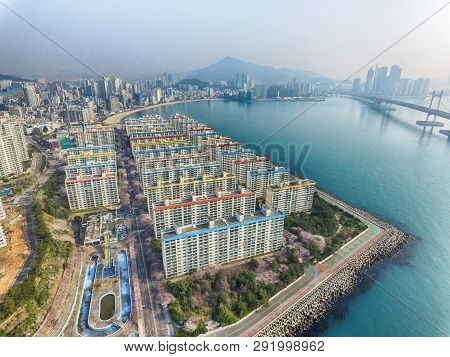 Cherry Blossoms Blooming In Namcheondong , Suyeonggu, Busan, South Korea, Asia
