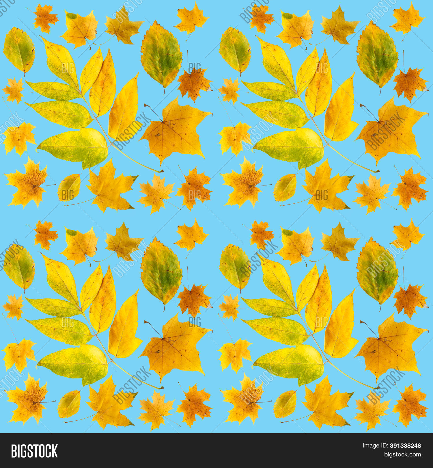 Pattern Yellow Autumn Image & Photo (Free Trial) | Bigstock