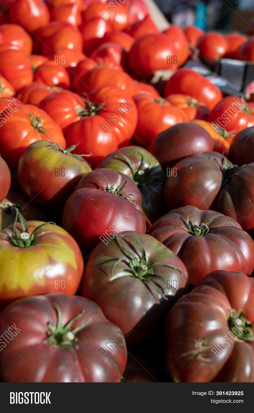 Assortment French Image & Photo (Free Trial) Bigstock