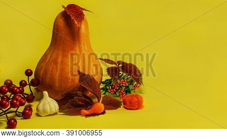 Autumn Still Life, Orange Pumpkin With Leaves And Berries On A Yellow Background Thanksgiving Day